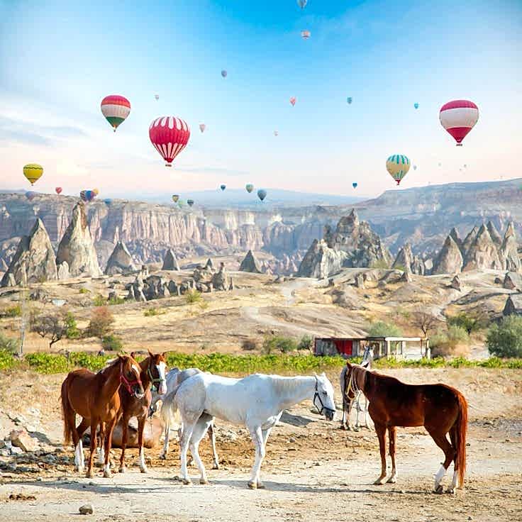 1 Saatlik Tur - 15 Euro